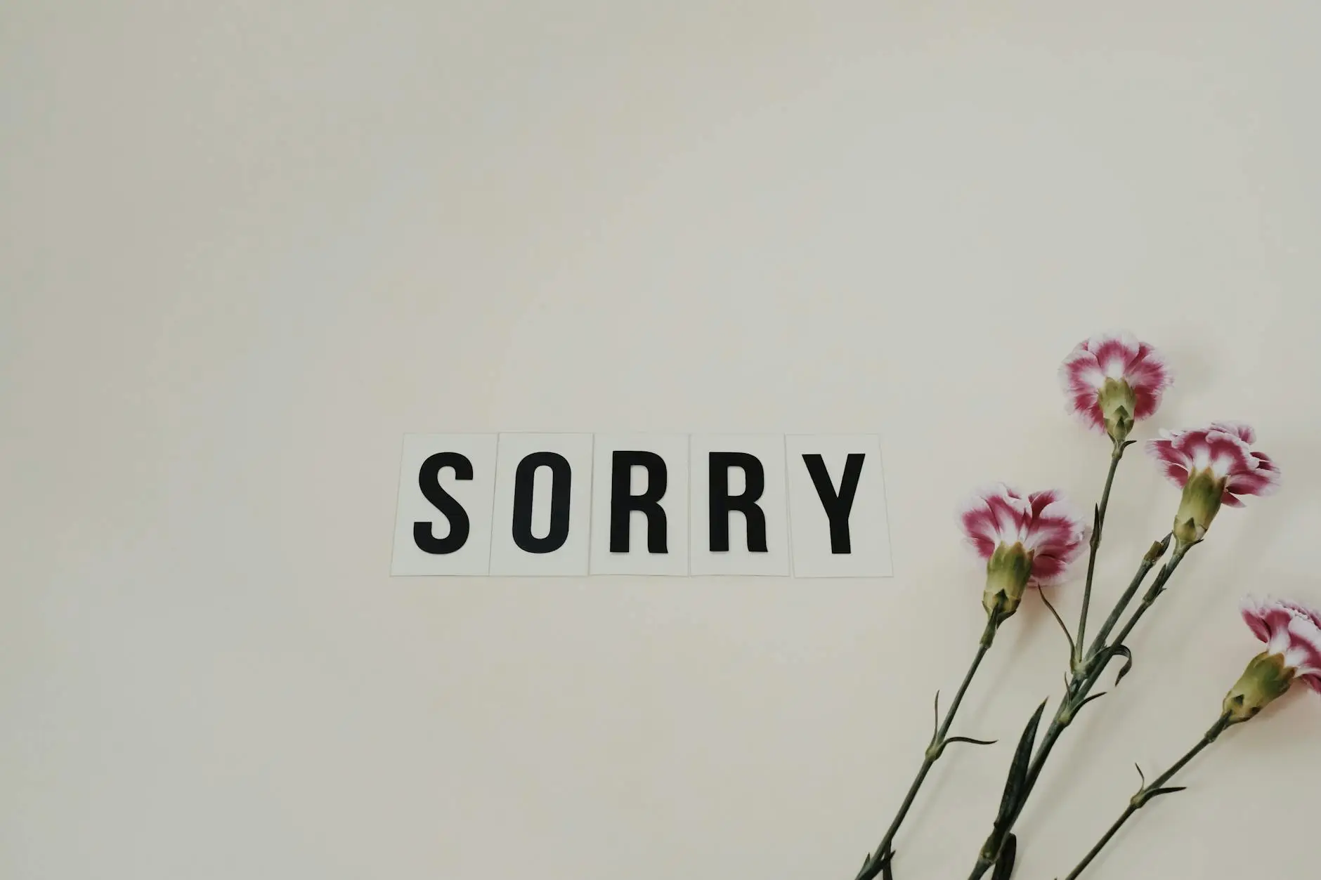 word sorry beside flowers on white surface