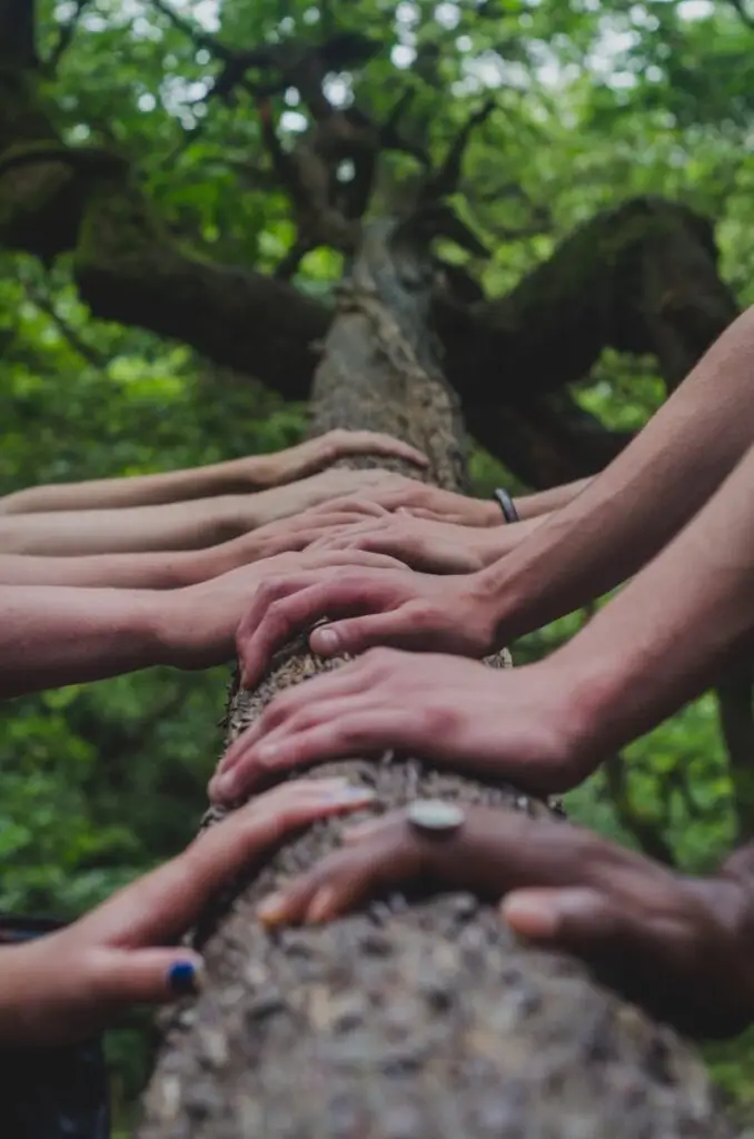 expand your social circle as you set out on your best life ever after a breakup